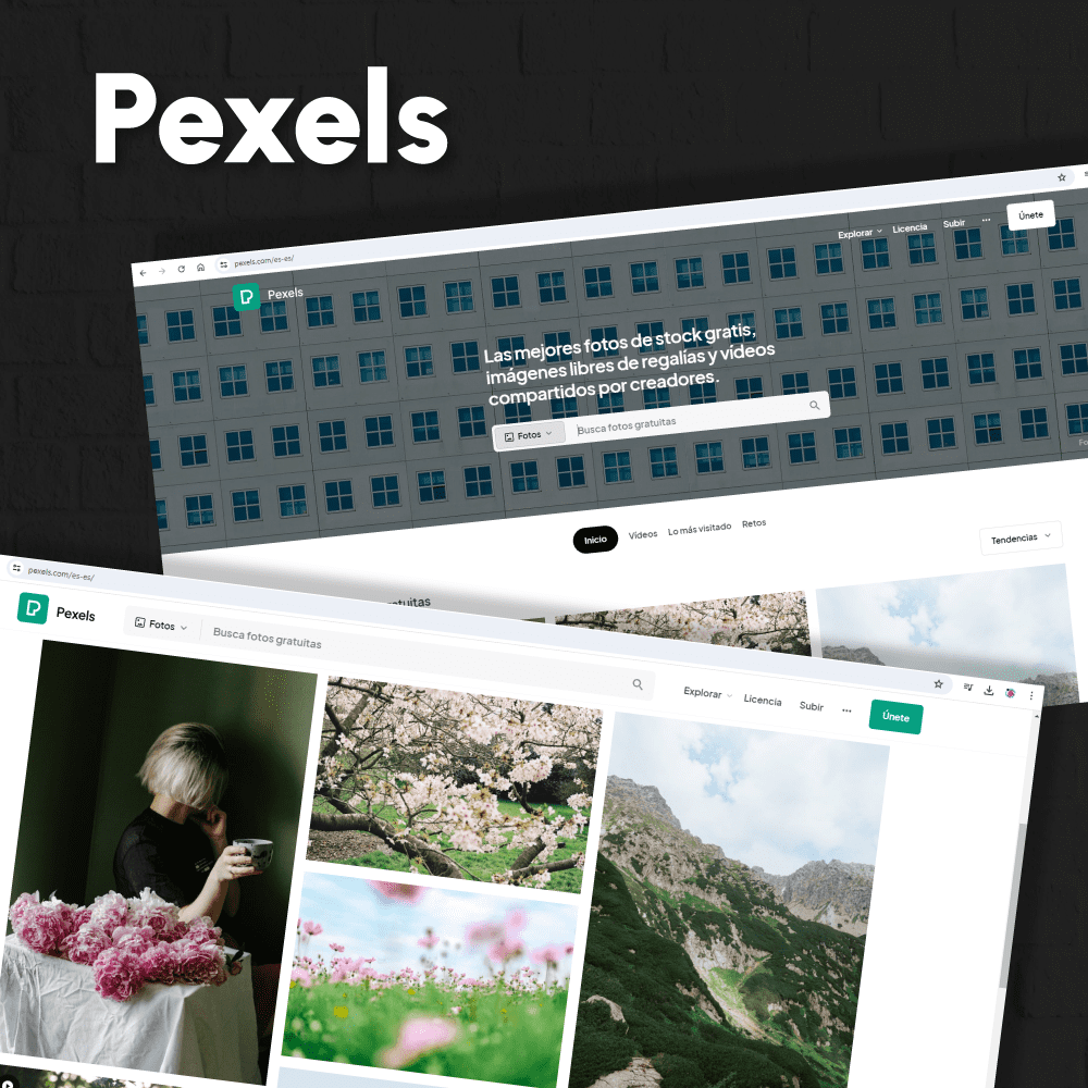 Pexels, banco de imagenes gratuitas, banco de imagenes